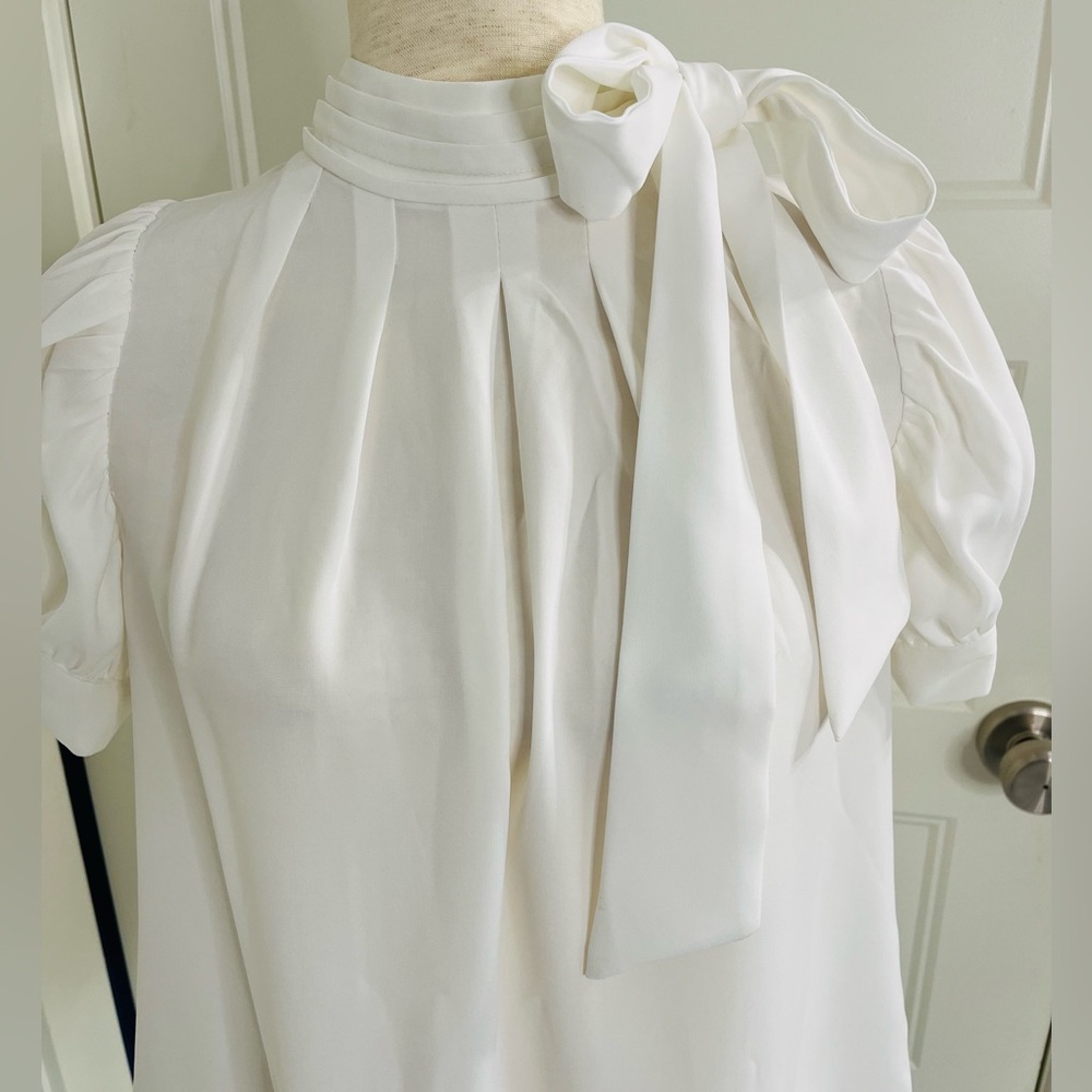 Gracia Pleated Blouse - Picture 4 of 11